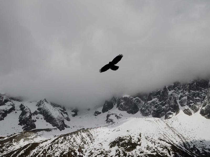 超现实主义<br>bcxjjkz.cn 达利融化的钟